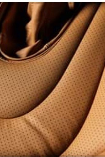 Perforated Koschmir 3595 small